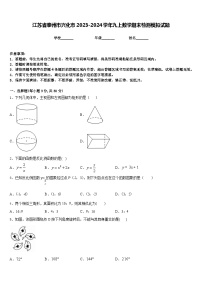 江苏省泰州市兴化市2023-2024学年九上数学期末检测模拟试题含答案