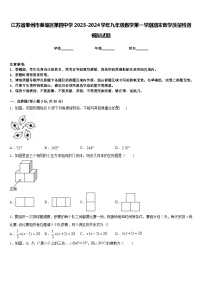 江苏省泰州市姜堰区第四中学2023-2024学年九年级数学第一学期期末教学质量检测模拟试题含答案