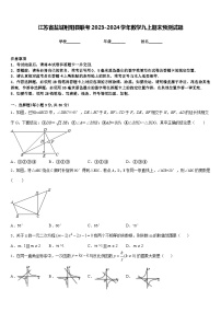 江苏省盐城射阳县联考2023-2024学年数学九上期末预测试题含答案