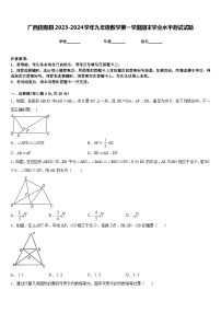 广西田阳县2023-2024学年九年级数学第一学期期末学业水平测试试题含答案