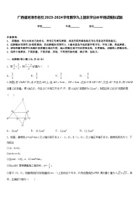 广西省河池市名校2023-2024学年数学九上期末学业水平测试模拟试题含答案