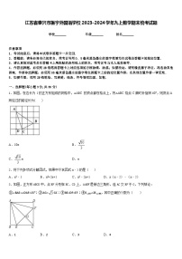 江苏省泰兴市振宇外国语学校2023-2024学年九上数学期末统考试题含答案