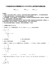 江苏省盐城市东台市第四联盟2023-2024学年九上数学期末考试模拟试题含答案