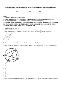 江苏省盐城市东台市第一教育集团2023-2024学年数学九上期末检测模拟试题含答案