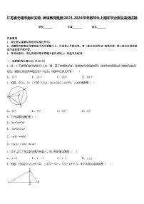 江苏省无锡市南长实验、侨谊教育集团2023-2024学年数学九上期末学业质量监测试题含答案