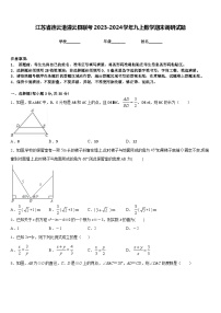 江苏省连云港灌云县联考2023-2024学年九上数学期末调研试题含答案