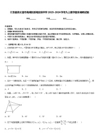 江苏省连云港市海州区新海实验中学2023-2024学年九上数学期末调研试题含答案