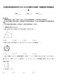 江苏省苏州市草桥实验中学2023-2024学年数学九年级第一学期期末复习检测模拟试题含答案