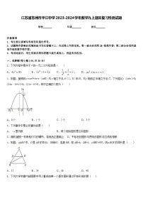 江苏省苏州市平江中学2023-2024学年数学九上期末复习检测试题含答案