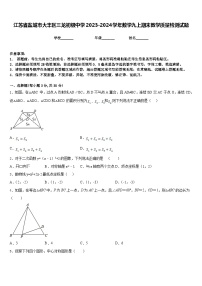 江苏省盐城市大丰区三龙初级中学2023-2024学年数学九上期末教学质量检测试题含答案