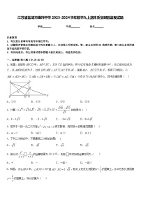 江苏省盐城市獐沟中学2023-2024学年数学九上期末质量跟踪监视试题含答案