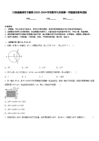 江西省赣州市于都县2023-2024学年数学九年级第一学期期末联考试题含答案