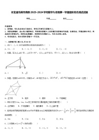 河北省沧州市青县2023-2024学年数学九年级第一学期期末综合测试试题含答案