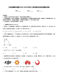 河北省邯郸市磁县2023-2024学年九上数学期末达标检测模拟试题含答案