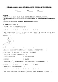 河北省衡水市2023-2024学年数学九年级第一学期期末复习检测模拟试题含答案