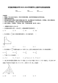 河北省涉县鹿头中学2023-2024学年数学九上期末学业质量监测试题含答案