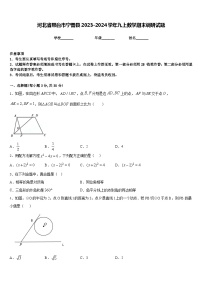 河北省邢台市宁晋县2023-2024学年九上数学期末调研试题含答案