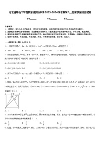 河北省邢台市宁晋县东城实验中学2023-2024学年数学九上期末质量检测试题含答案