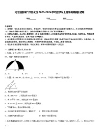 河北省张家口市宣化区2023-2024学年数学九上期末调研模拟试题含答案