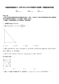 河南省郑州高新区八一中学2023-2024学年数学九年级第一学期期末联考试题含答案