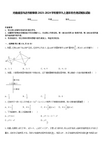 河南省驻马店市新蔡县2023-2024学年数学九上期末综合测试模拟试题含答案