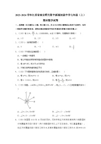 2023-2024学年江苏省南京师大附中新城初级中学七年级（上）期末数学试卷