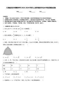 江西省吉安市第四中学2023-2024学年九上数学期末学业水平测试模拟试题含答案