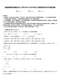 河南省洛阳市涧西区东方二中学2023-2024学年九上数学期末学业水平测试试题含答案