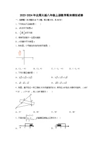 北师大版2023—2024学年八年级上册数学期末模拟试卷