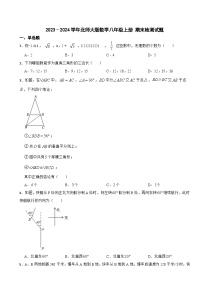 北师大版2023－2024学年数学八年级上册 期末检测试题