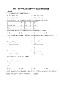 北师大版2023—-2024学年数学八年级上册 期末培优试题