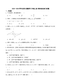 北师大版2023—2024学年数学八年级上册 期末综合复习试题