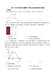 北师大版2023—2024学年数学八年级上册 期末综合复习试题(1)