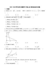 北师大版2023—2024学年数学八年级上册 期末综合复习试题(2)