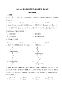 北师大版2023-2024学年数学八年级上册期末复习阶段检测卷(含答案)