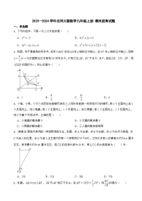 北师大版2023—2024学年数学九年级上册 期末拔高试题