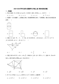 北师大版2023-2024学年数学九年级上册 期末培优试题