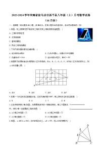 河南省驻马店市西平县2023-2024学年八年级上学期10月第一次学情调研数学试卷(含解析)