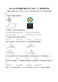 2023-2024学年新疆乌鲁木齐市八年级（上）期末数学试卷（含解析）