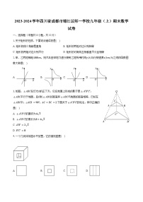 2023-2024学年四川省成都市锦江区师一学校九年级（上）期末数学试卷（含解析）