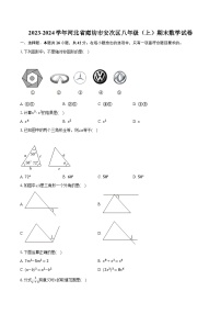 2023-2024学年河北省廊坊市安次区八年级（上）期末数学试卷（含解析）