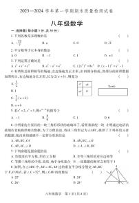 2023-2024学年河南省洛阳市偃师八上期末数学试卷及答案