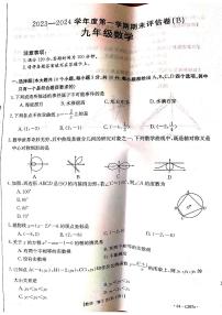 河南省商丘市虞城县2023-—2024学年九年级上学期1月期末数学试题