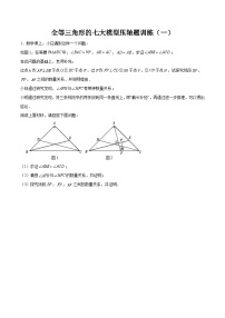 全等三角形的七大模型压轴题训练（一）-2023-2024学年七年级数学下册全等三角形的七大模型全攻略（北师大版，成都专用）