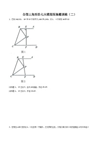 全等三角形的七大模型压轴题训练（二）-2023-2024学年七年级数学下册全等三角形的七大模型全攻略（北师大版，成都专用）