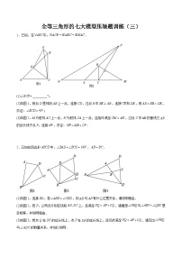 全等三角形的七大模型压轴题训练（三）-2023-2024学年七年级数学下册全等三角形的七大模型全攻略（北师大版，成都专用）