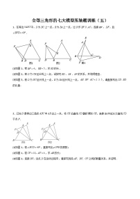 全等三角形的七大模型压轴题训练（五）-2023-2024学年七年级数学下册全等三角形的七大模型全攻略（北师大版，成都专用）