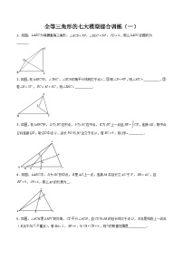 全等三角形的七大模型综合训练（一）-2023-2024学年七年级数学下册全等三角形的七大模型全攻略（北师大版，成都专用）