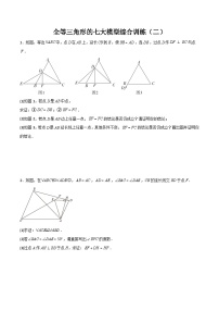 全等三角形的七大模型综合训练（二）-2023-2024学年七年级数学下册全等三角形的七大模型全攻略（北师大版，成都专用）