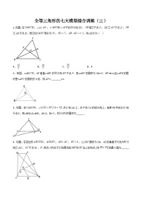 全等三角形的七大模型综合训练（三）-2023-2024学年七年级数学下册全等三角形的七大模型全攻略（北师大版，成都专用）